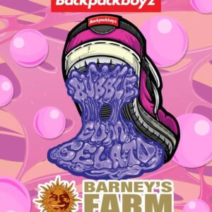 Barney´s Farm | Bubblegum Gelato | Feminin | 3 Stk.