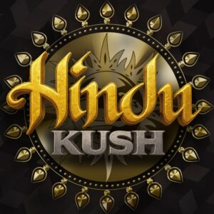 Barney´s Farm | Hindu Kush Female | 3 Stk.