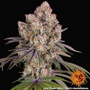 Barney´s Farm | Ice Cream Cake Female | 1 Stk.